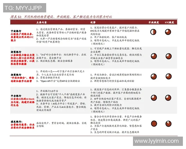 深圳排球队实力分析与未来发展潜力的深度探讨